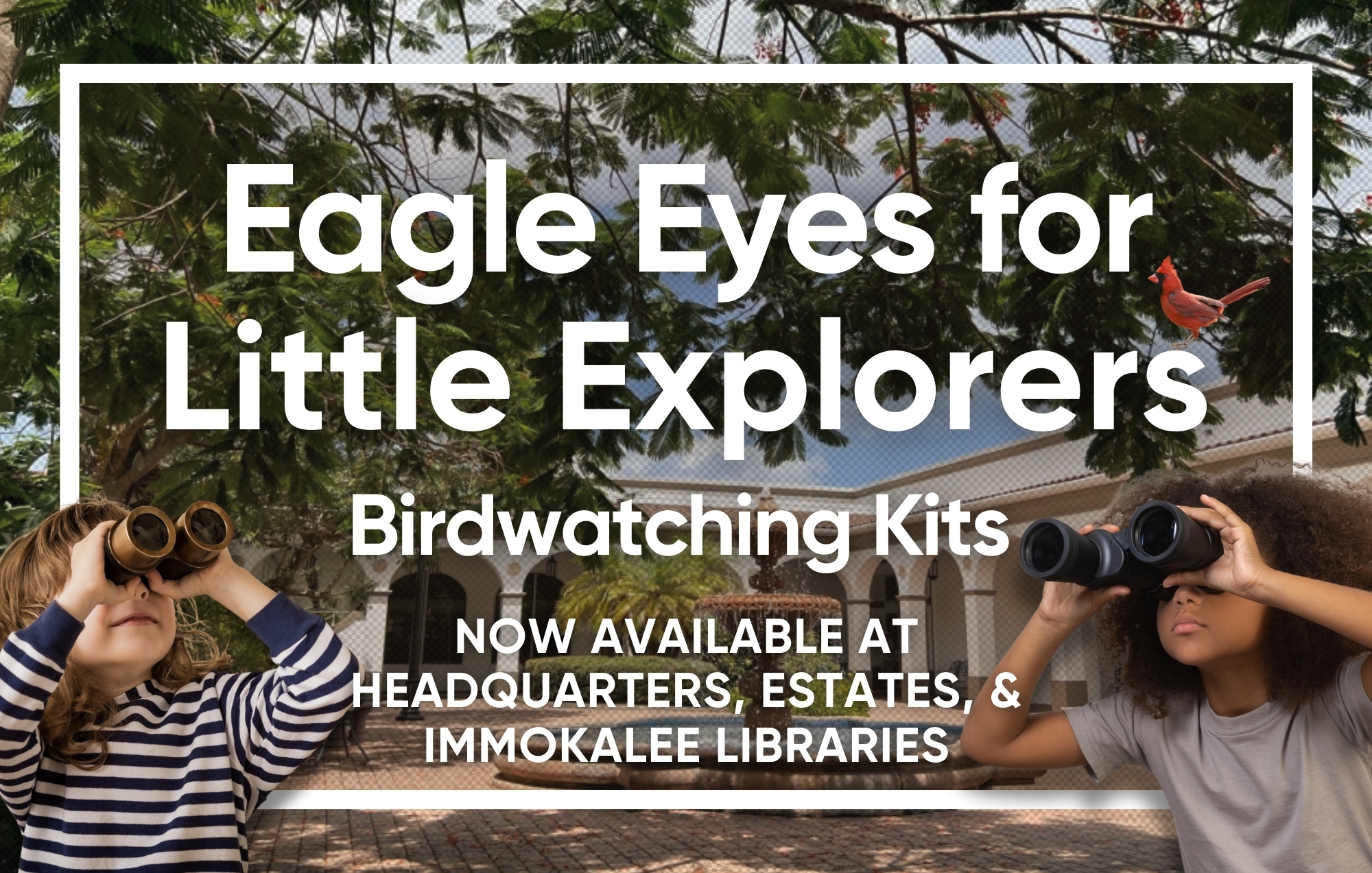Birdwatching Kits
