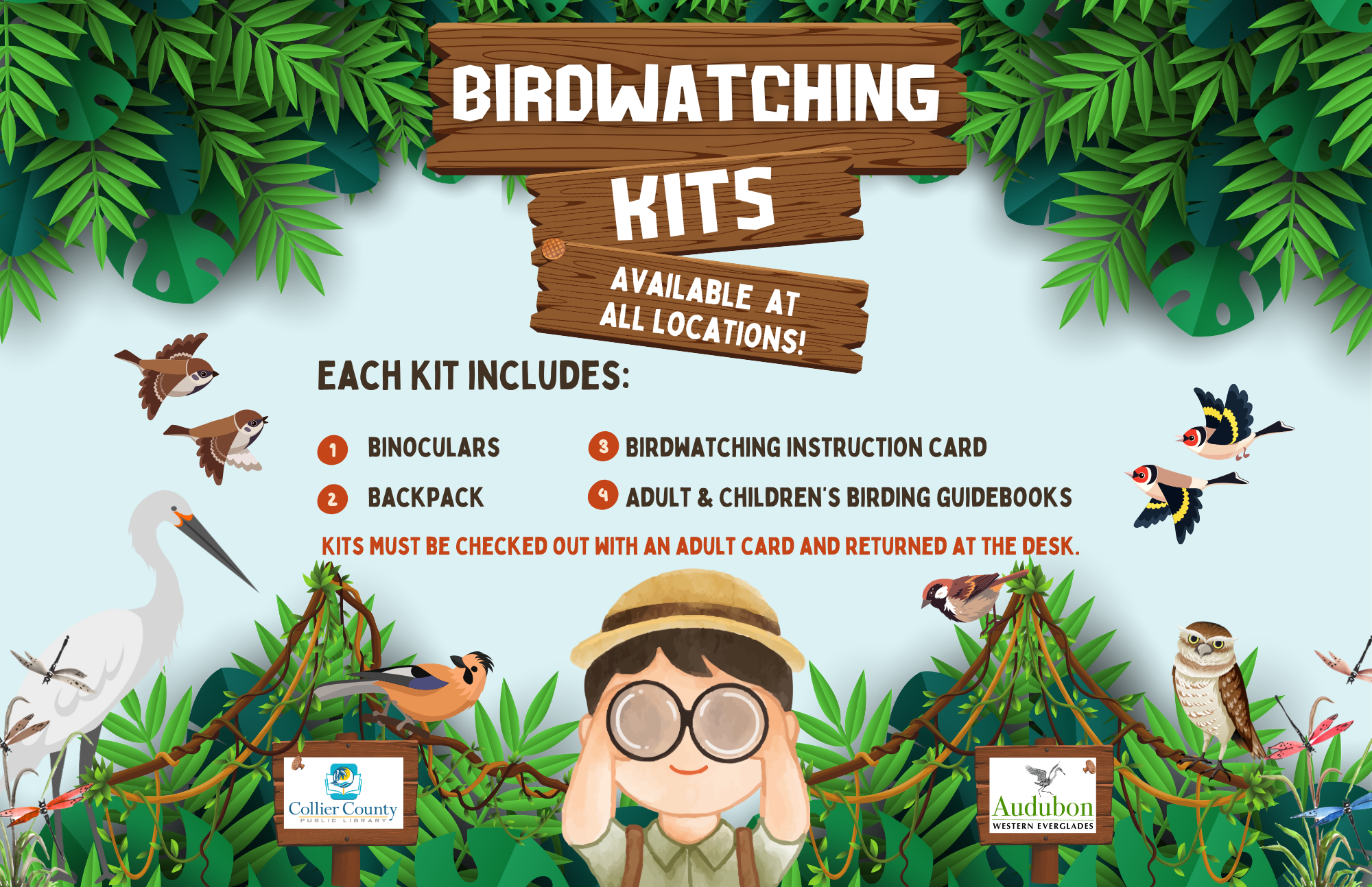 Birdwatching Kits